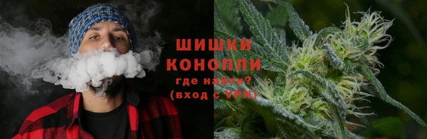 шишки Алексеевка