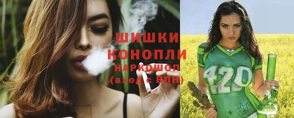 шишки Алексеевка