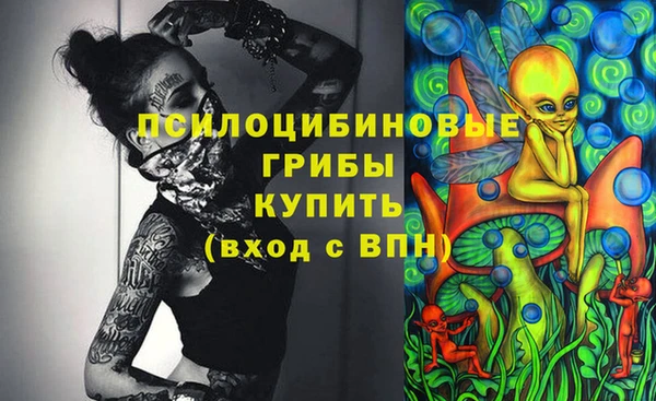 мдпв Алзамай