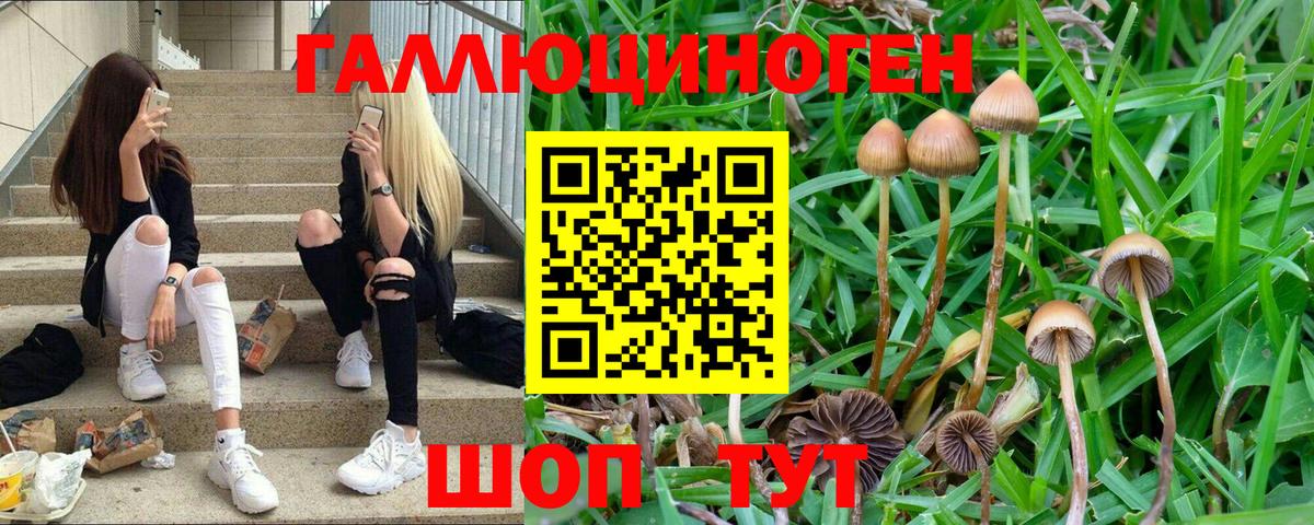 Усолье-Сибирское  Псилоцибиновые грибы GOLDEN TEACHER  Псилоцибиновые грибы ЛСД  купить наркотики сайты  Вход с VPN 