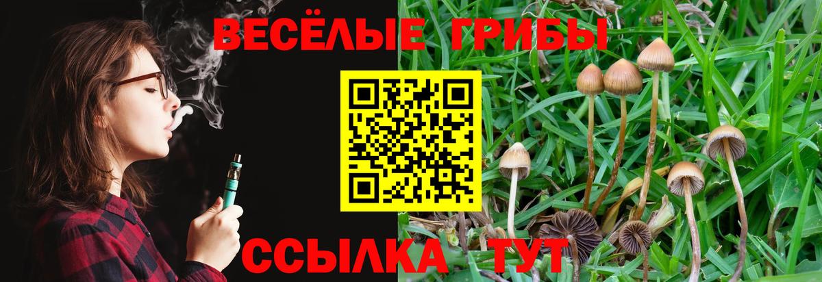Псилоцибиновые грибы Cubensis Усолье-Сибирское