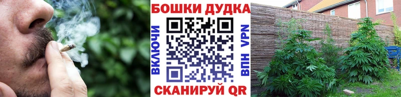 Шишки марихуана AK-47  Усолье-Сибирское 